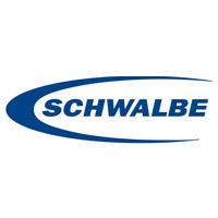 SCHWALBE