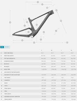 2024 SCOTT SPARK RC TEAM DAĞ BİSİKLETİ