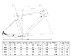 2026 CARRARO SPORTIVE 324 ŞEHİR VE TUR BİSİKLETİ - 3