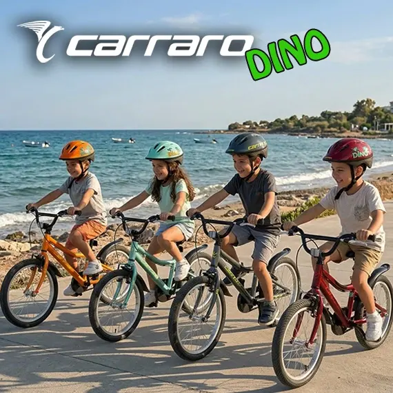 CARRARO DINO