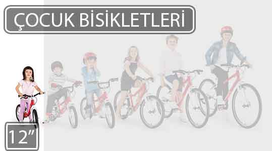 12-inc-cocuk-bisikleti-web.jpg (11 KB)