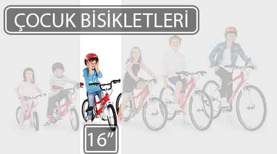 16-inc-cocuk-bisikleti-web.jpg (11 KB)