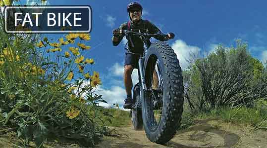 FAT-BIKE1-web.jpg (22 KB)