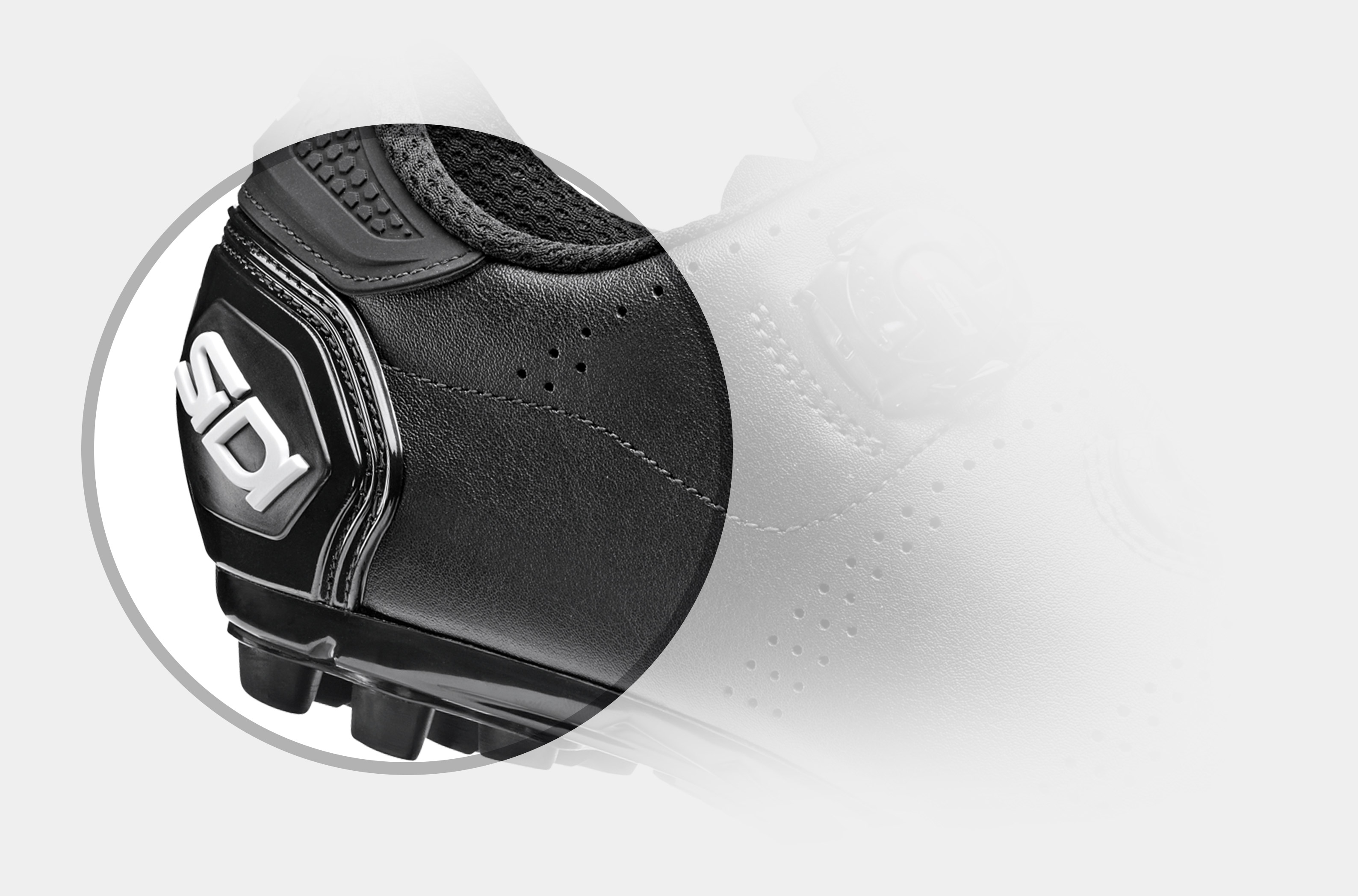 MTB-SPEED-tallone.jpg (609 KB)