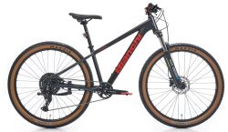 BIANCHI MAGMA 27.X ESSA DAĞ BİSİKLETİ-2026 - BIANCHI 