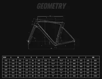 BIANCHI SPECIALISSIMA COMP RIVAL AXS 12VİTES YOL BİSİKLETİ-2025 - 2