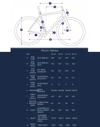 BISAN ALL TRAIL GRX 600 GRAVEL BİSİKLET-2025 - 3