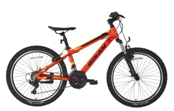 BISAN KDX 2900 V 24 JANT ÇOCUK BİSİKLETİ - 1