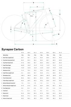 CANNONDALE SYNAPSE CARBON 4 YOL BİSİKLETİ-2026 - 8
