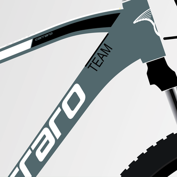 CARRARO DAYTONA 718 DAĞ BİSİKLETİ - 2