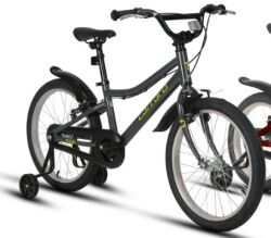 CARRARO DINO 20 JANT ÇOCUK BİSİKLETİ - 3