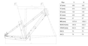 CARRARO FORCE 701 KADIN DAĞ BİSİKLETİ-2026 - 2