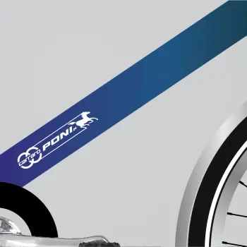 CARRARO PONI 24 JANT ŞEHİR VE TUR BİSİKLETİ - 2