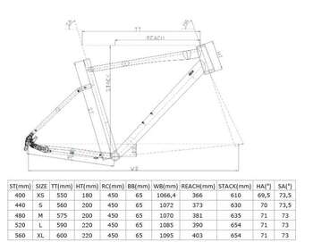 CARRARO SPORTIVE 321 ŞEHİR VE TUR BİSİKLETİ - 2